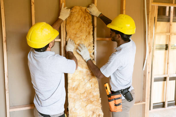 Professional Insulation Services in Walker Mill, MD